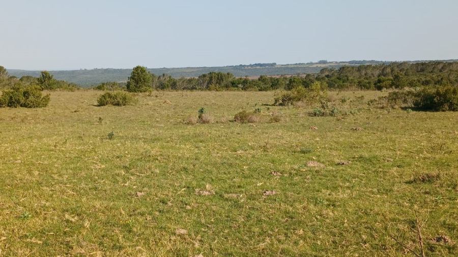 Commercial Property for Sale in Bathurst Eastern Cape
